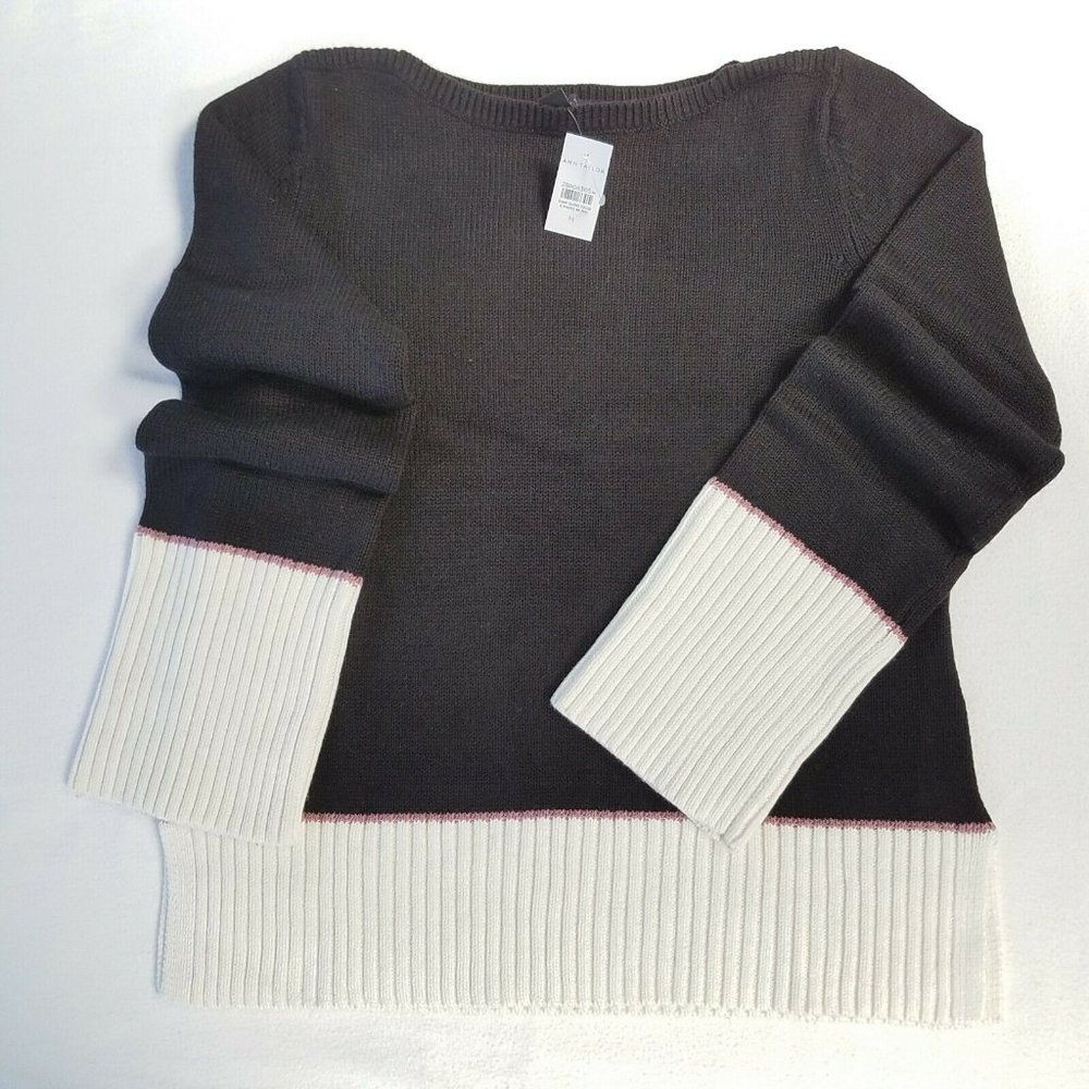 COPY - AnnTaylor Cashmere Blend Colorblock Sweater/NWT XL